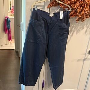 Pilcro Deep Blue Trousers